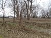 Остатки леса на зачищенной южной части Киргизских плавней