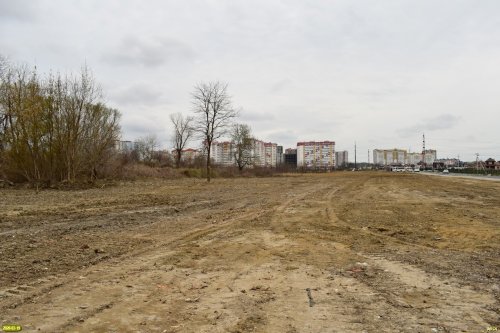 Киргизские плавни: пустыня на месте южной части леса