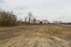 Киргизские плавни: пустыня на месте южной части леса