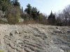 Вырубка соснового леса в п.Ольгинка (Туапсинский район)