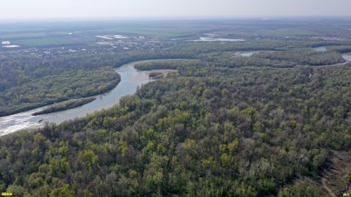 Через Белореченский лес протекает река Белая