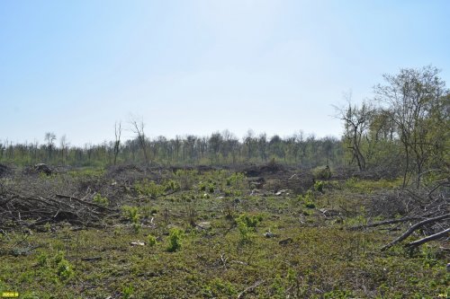 Огромная пустыня вырубки в южной части Белореченского леса