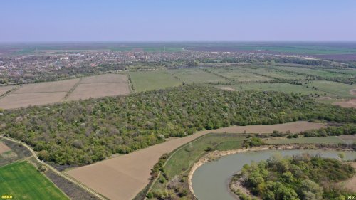 Основной массив урочища Рязанский лес (Белореченский район)