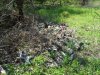 Следы пребывания Homo sapiens в урочище Рязанский лес 