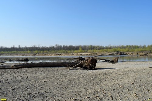 Пойма реки Белой