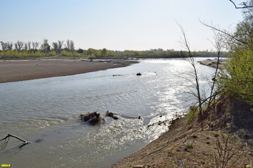 Утро на реке Белой