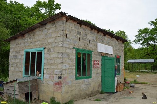 В сторожке на официально закрытой Апшеронской районной свалке есть, тем не менее, сторож... и кот