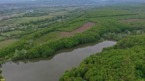 Пруд в русле ручья запруженной балки Русина Щель (Горячий Ключ)