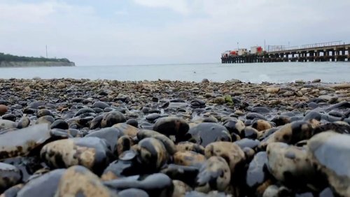 2020.05.07, Разлив нефти на побережье в Геленджике (Голубая бухта)