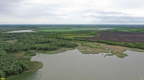 Ганжинское водохранилище (ст.Бжедуховская, Белореченский район) 