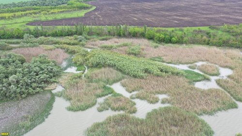 Ганжинское водохранилище (ст.Бжедуховская, Белореченский район) 