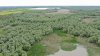 Ганжинское водохранилище (ст.Бжедуховская, Белореченский район) 
