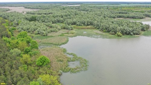 Ганжинское водохранилище (ст.Бжедуховская, Белореченский район) 