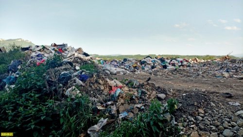 Свалка отходов в районе станицы Андрюки