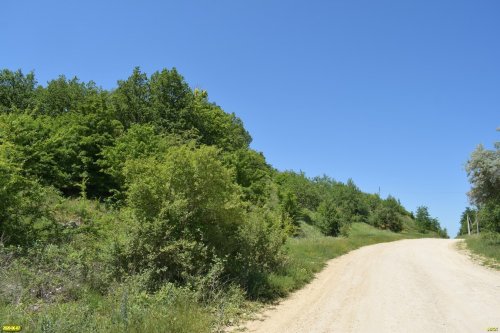 Окраина Ильского леса (Северский район)