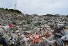 Свалка ТБО в селе Лермонтово "закрыта", но никак не рекультивирована