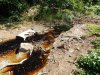 Мимо Новороссийской свалки (с.Глебовское) протекает ручей, впадающий в реку Озереевка