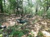 Лес по-соседству с Новороссийской городской свалкой (с.Глебовское)
