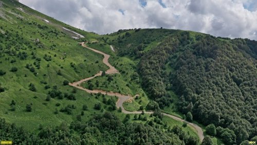 Дорога на Лунную поляну. Участок дороги, проложенных в субальписких лугах