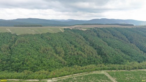 Лесное урочище Верхний Каук (окрестности села Дивноморского)