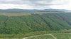 Лесное урочище Верхний Каук (окрестности села Дивноморского)
