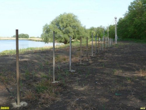 К незаконно образованным участкам в прибрежной зоне реки Понура собственник провел линию электропередач