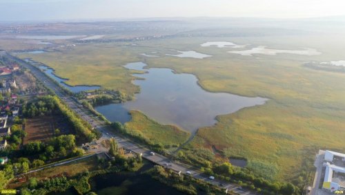 Анапские плавни