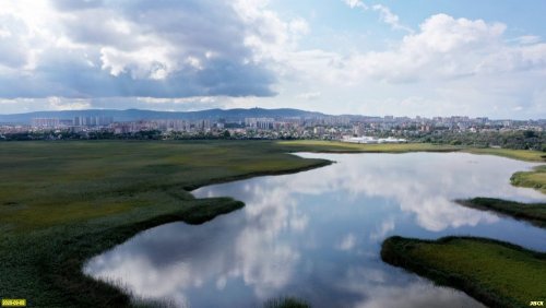 Анапские плавни