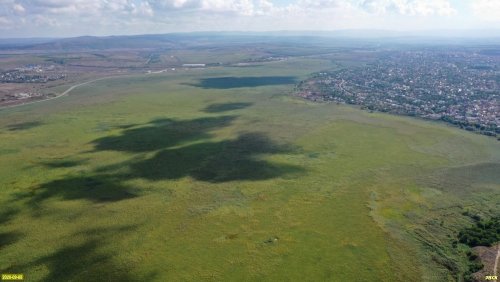 Анапские плавни