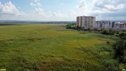 Анапские плавни