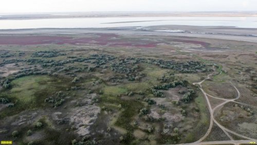 Благовещенская коса