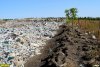Гнездовища крыс (по центру), отсутствующее ограждение свалки (справа)