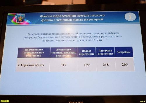 Власти Горячего Ключа незаконно исключили из состава лесного фонда 1319 гектаров лесных земель