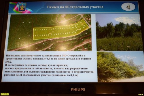 Администрация Северского района незаконно отдала под застройку 4,9 гектаров земель лесного фонда возле станицы Крепостной