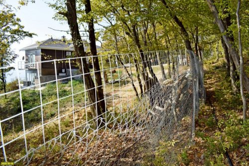 Застройка лесного фонда на обрыве над мысом Гуава