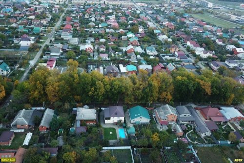 Уникальная посадка орехов Кария пекан в пос. Южный (Динской район)