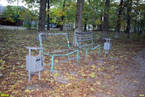 Сейчас Пекановая роща в пос. Южный (Динской район) выглядит неухоженной