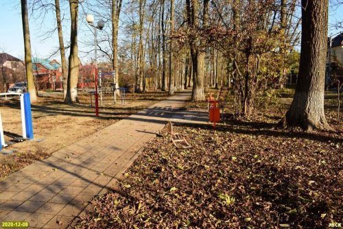 Центральную дорожку проложат с приствольными кругами для пеканов