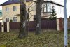 Жители поселка Южный настаивают, чтобы в пекановой роще сохранили все здоровые деревья