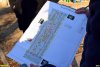 В проект благоустройства пекановой рощи внесли корректировки с учетом мнения жителей и  рекомендаций ЭкоВахты