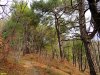 Туапсе. Мыс Кадош. Уникальная природная территория отведенная под застройку