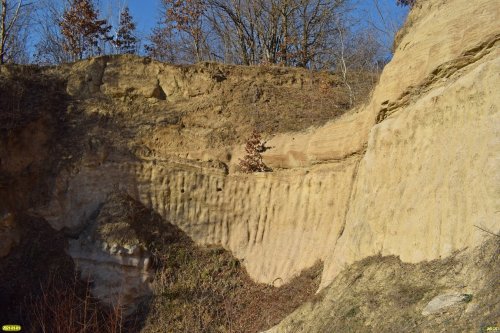 "Стена" ракушечника в закрытом карьере (Северский район)