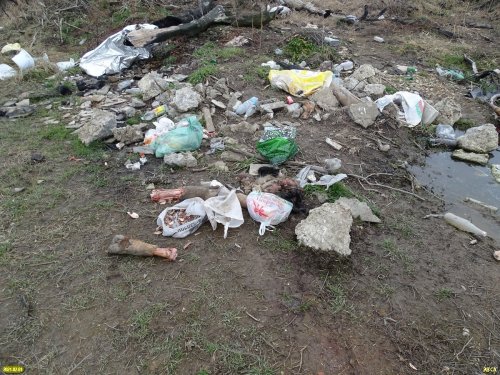 Свалка биологических отходов возле аула Афипсип