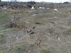 Свалка биологических отходов возле аула Афипсип