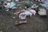 Свалка биологических отходов возле аула Афипсип