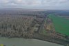 За Варнавинским сбросным каналом - урочище Раздорны, первичный пойменный лес вдоль реки Кубани