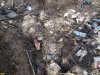 Биологические отходы на гулькевичской свалке ТКО