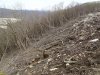 Дорогу к карьеру пробивают по склону, уничтожая лес