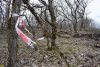 Дорогу к известняковому карьеру пробивают через лес