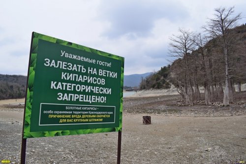 Кипарисовое озеро в Сукко (Анапа) - памятник природы краевого значения